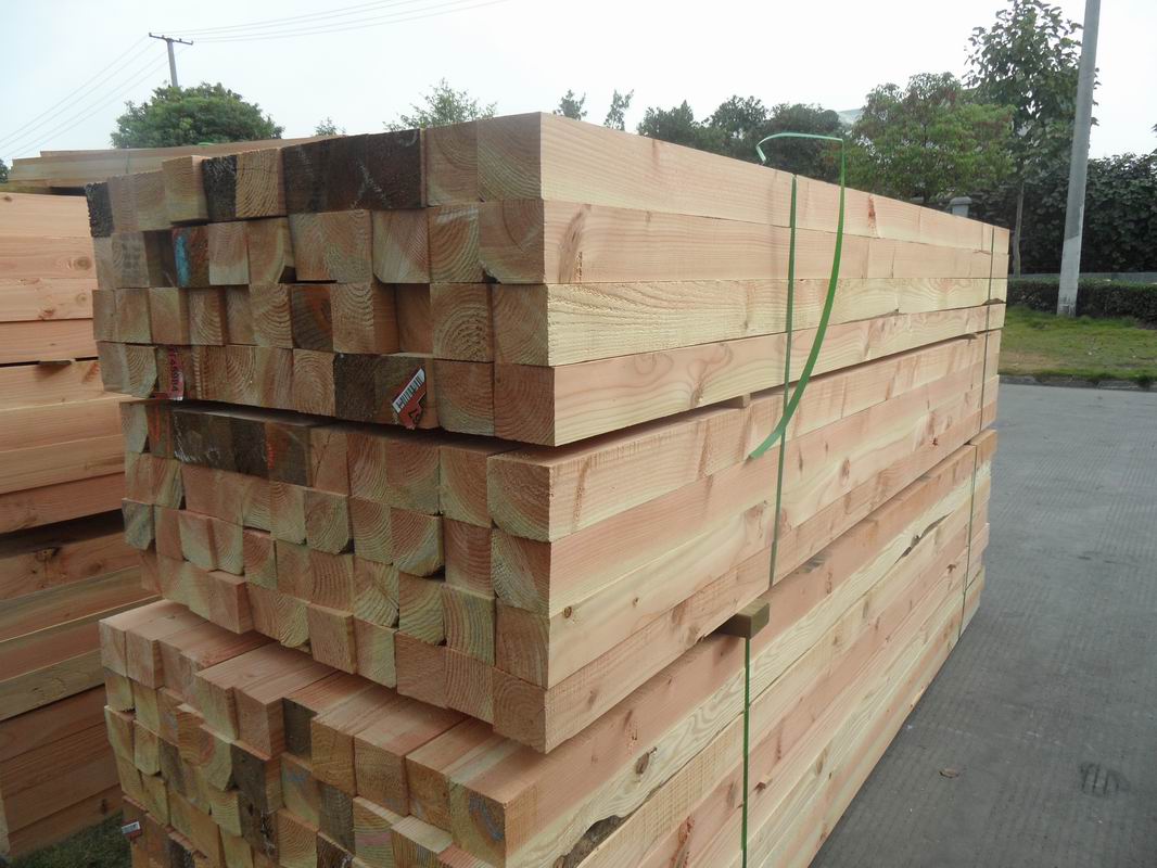 美國(guó)花旗松